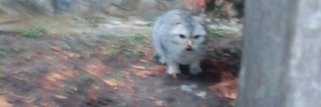 Только Реальная Жизнь Григорий