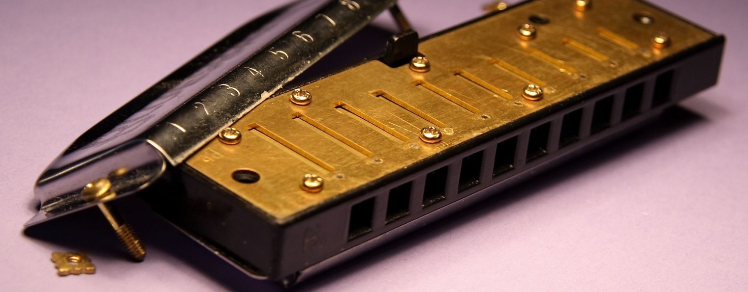 Блюзхарп Практик