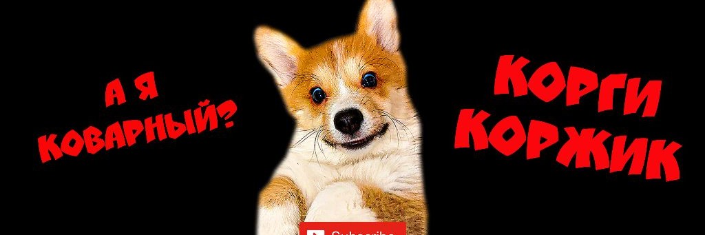 Корги Коржик