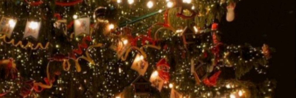 ⭐new year noobi :3 🎉