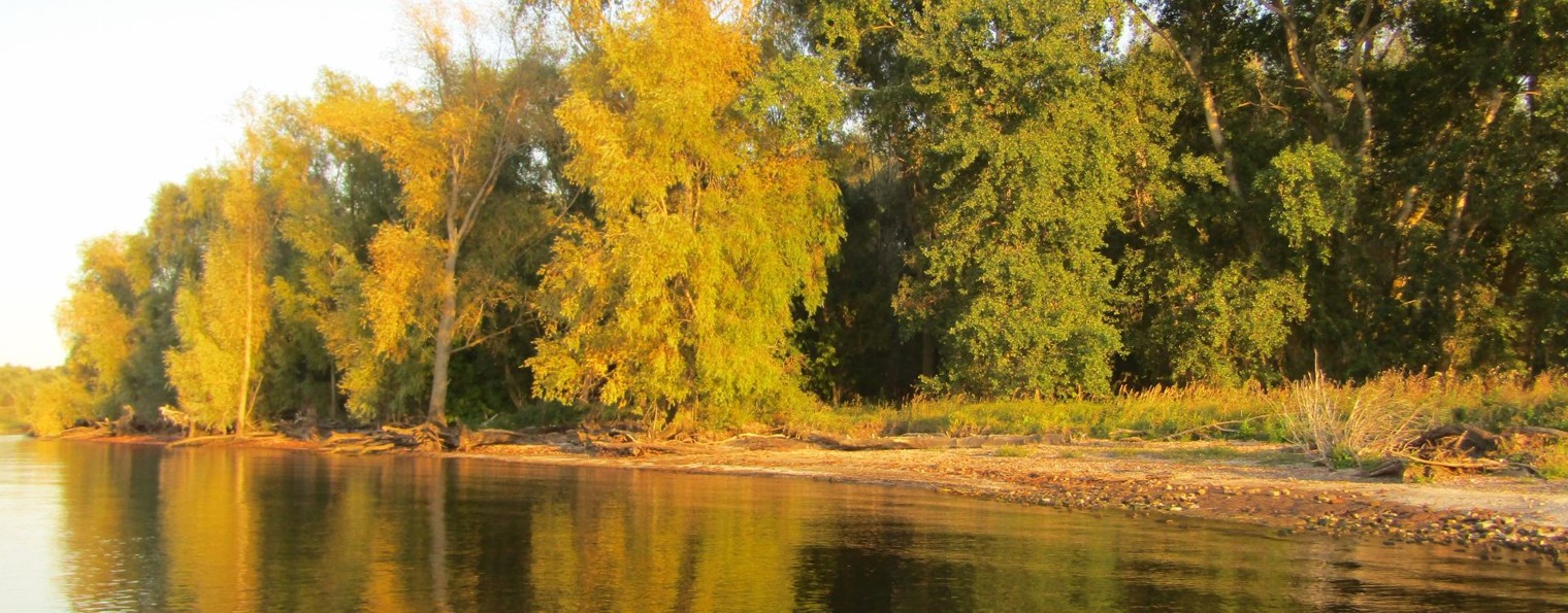 канал Саша Торопов+