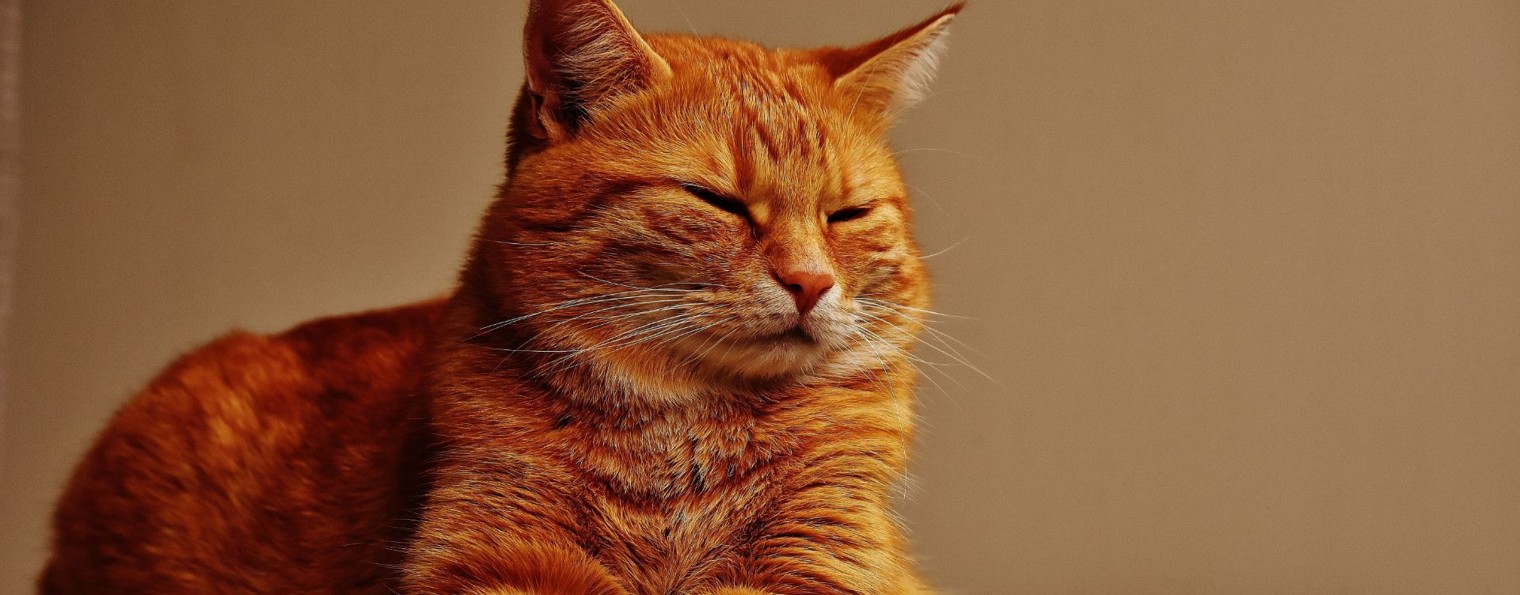 Марëвская районная ветеринарная станция