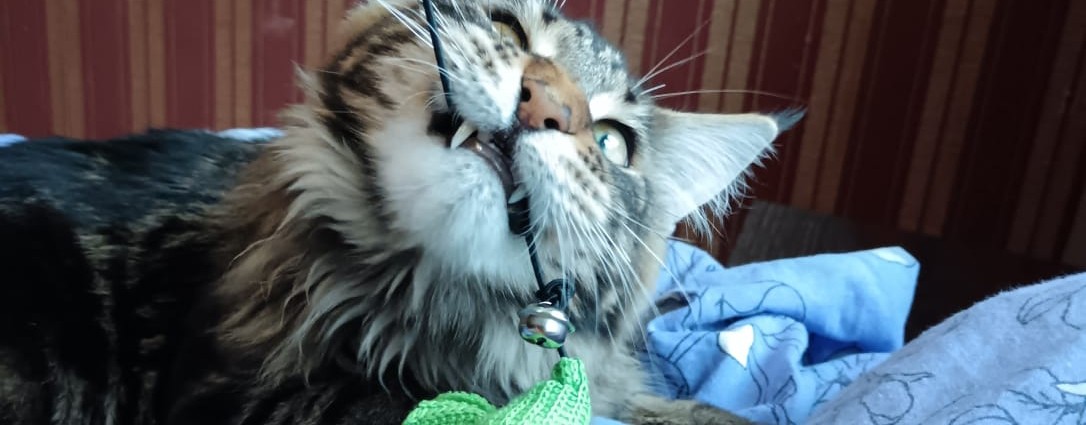 семейный очаг.