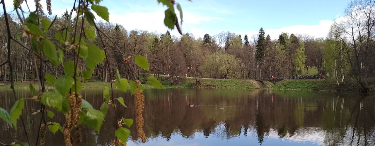 Аудиокниги. Читает Вера Ларичкина