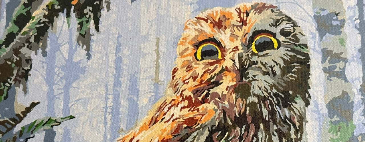 В ПОИСКАХ ИСТИНЫ