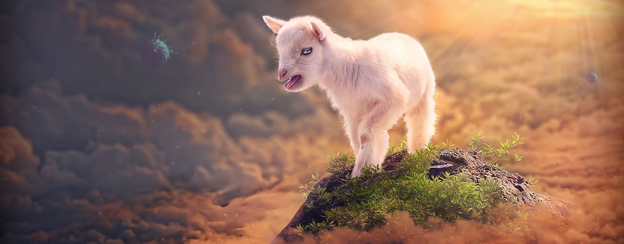 Тигряша клип