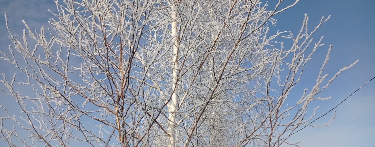 Николай Артемьев