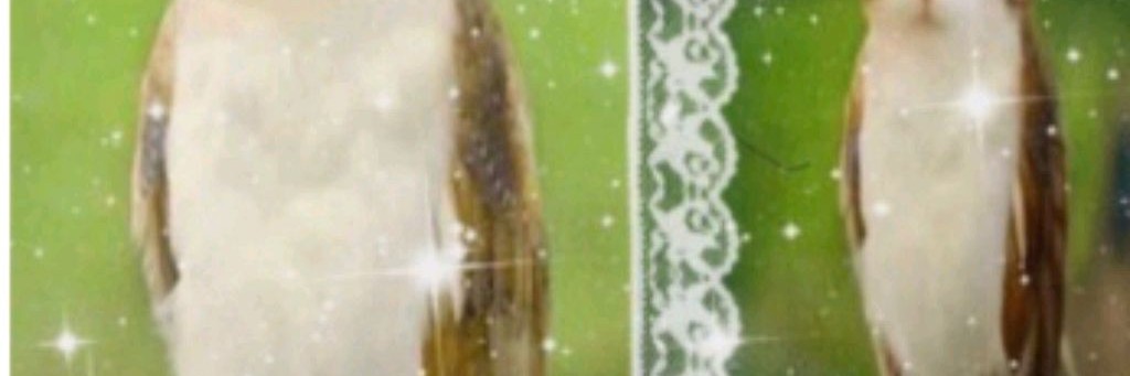 ⭐New Year🎉୨Ab4yNd4~SyHarIk୧_UZI_