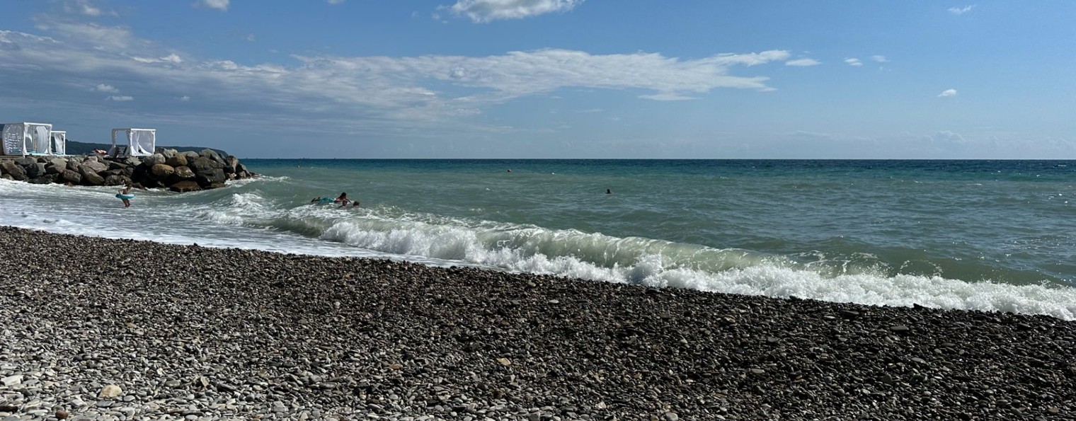 МИС-Астора Групп