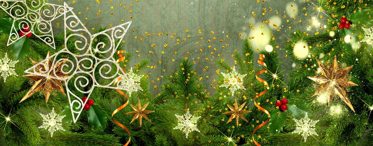 Светлана Скребнева