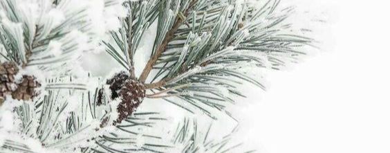 Sofil Official {RUTUBE RUSSIAN}