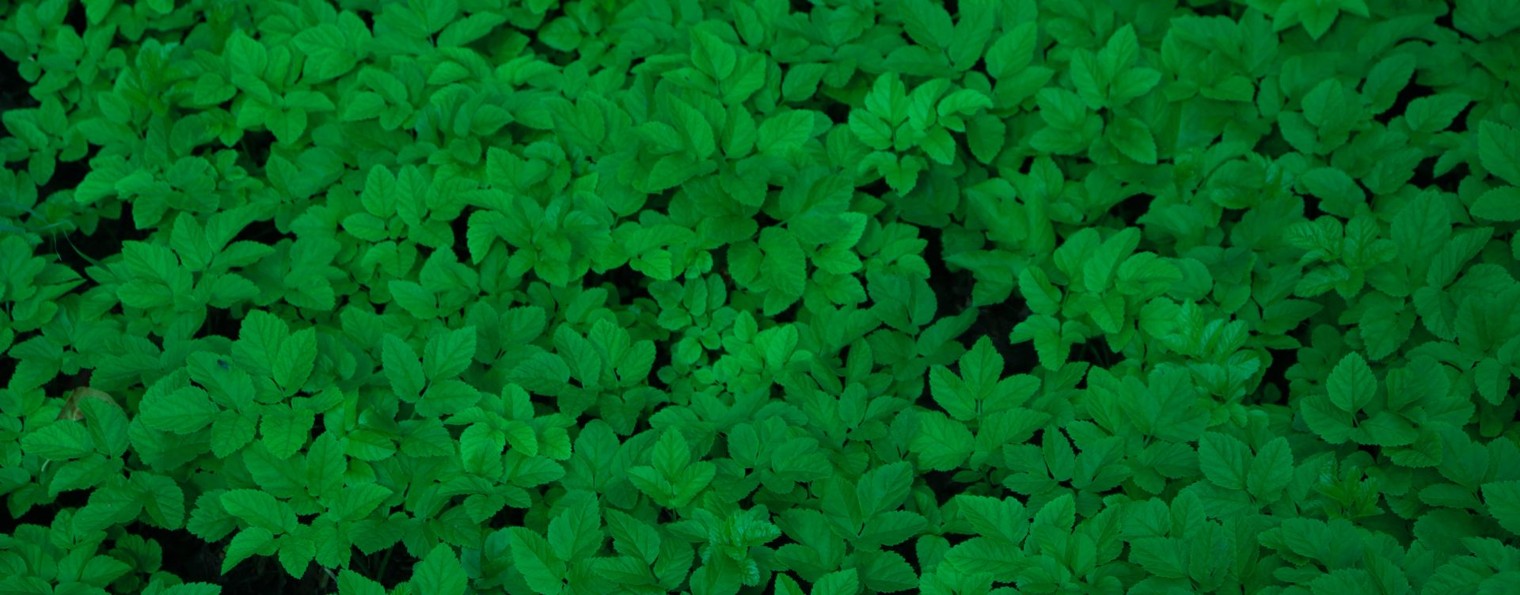 Оставь проблемы на потом...