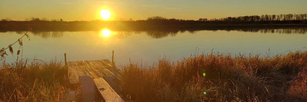 Будни Горе Копателя