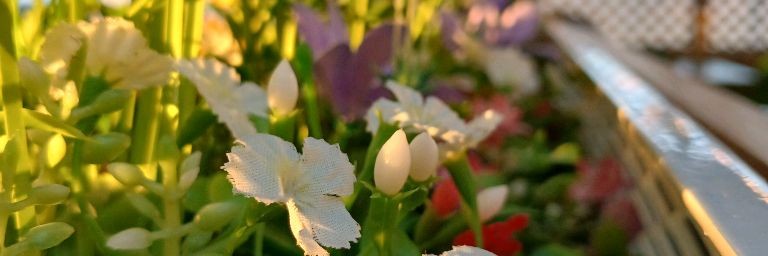 Насюшка 🎙️🎤
  
  Anastasia♡о