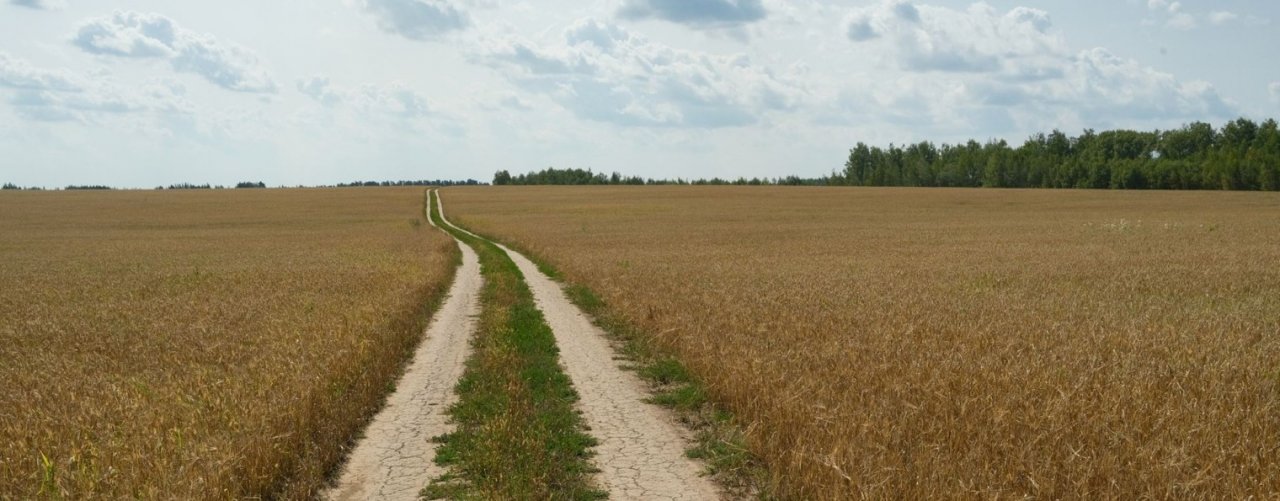 Владислав Крицын