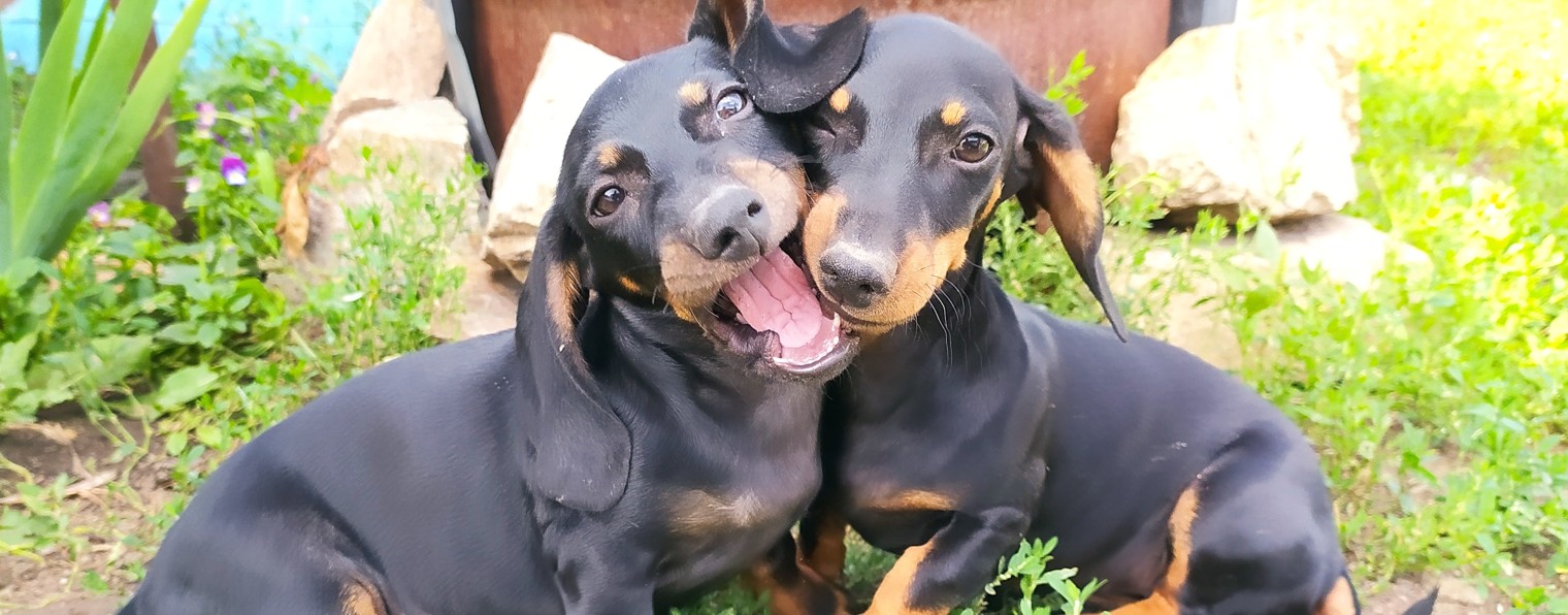 Рай своими руками! канал о жизни в частном доме