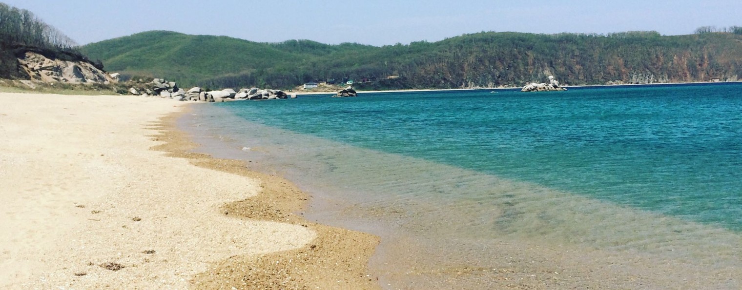 эволюционеры