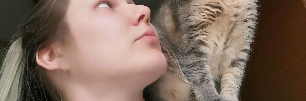 Елизавета в стране современных домохозяек