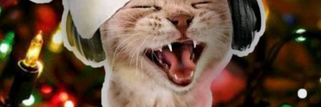 Кролик 🐰 Новогодний Вайб 🎄