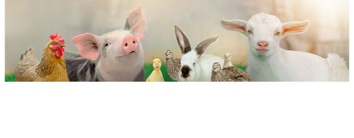 Подворье Родное