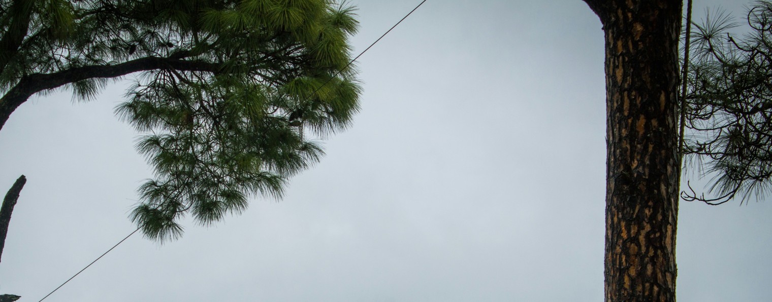 HhhhhhelgàaaАaaaАААaаa WWWWWWWWWWWWWWWWWWWWWWWWWWW