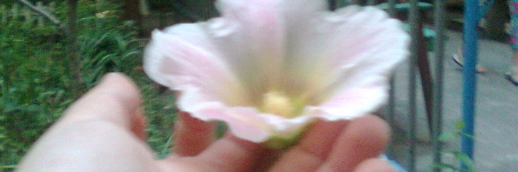 СтРаНа_ЧуДеС