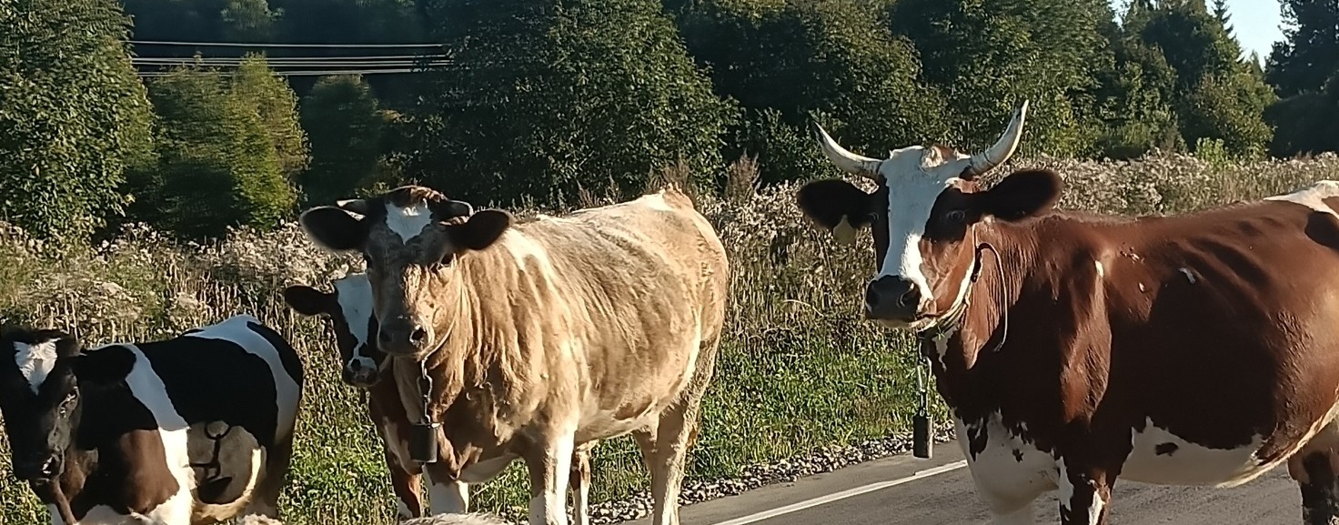 канал без имени