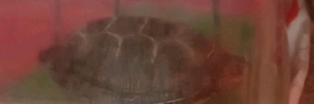 Снимаю про Костика.