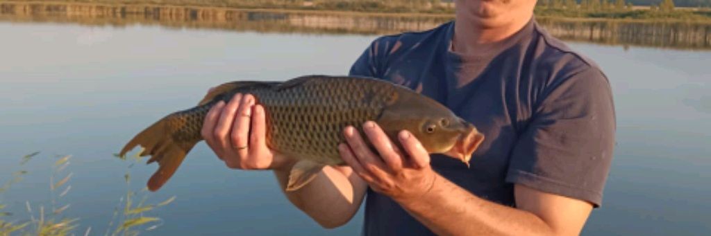 Жизнь Рыбы В Домашних Условиях С Виталием Виталием