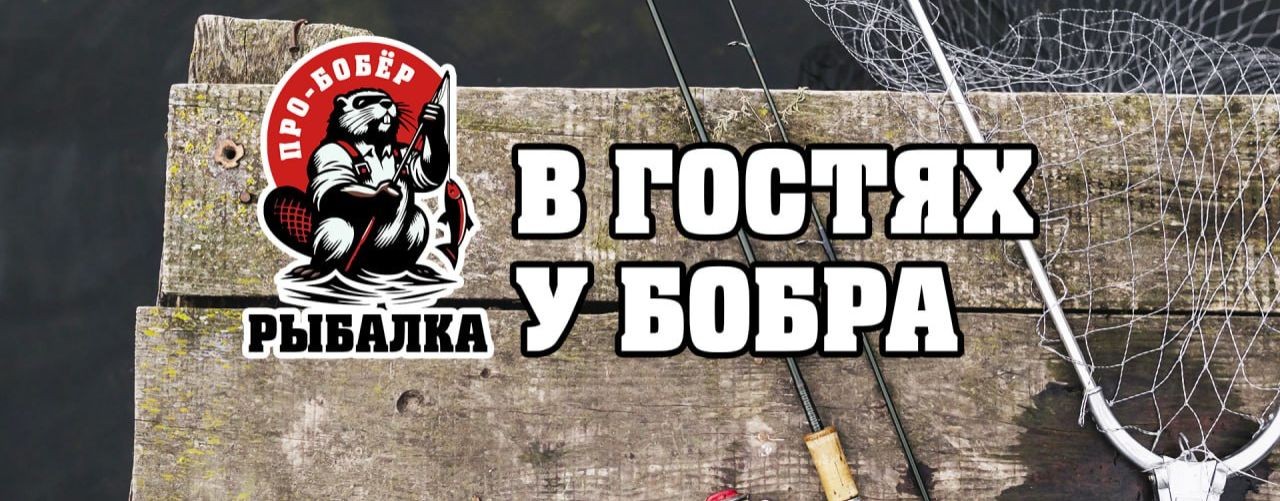 В Гостях у Бобра