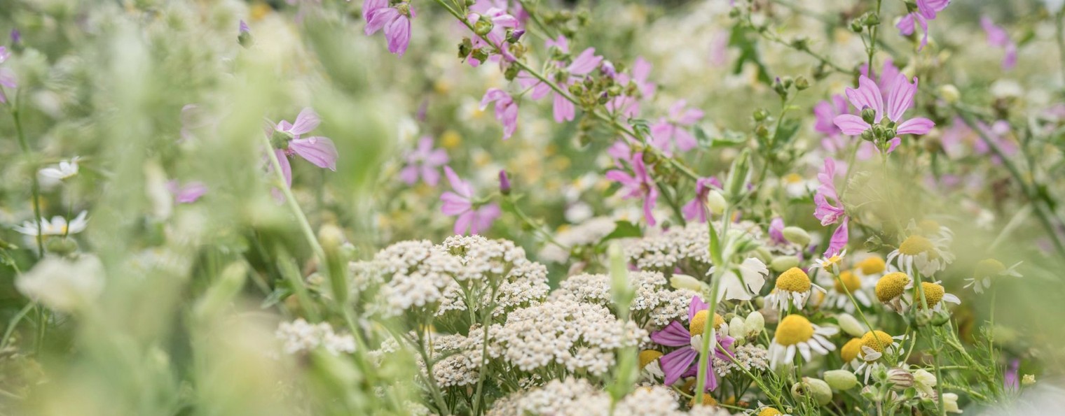 Природный уход • Натуральная косметика