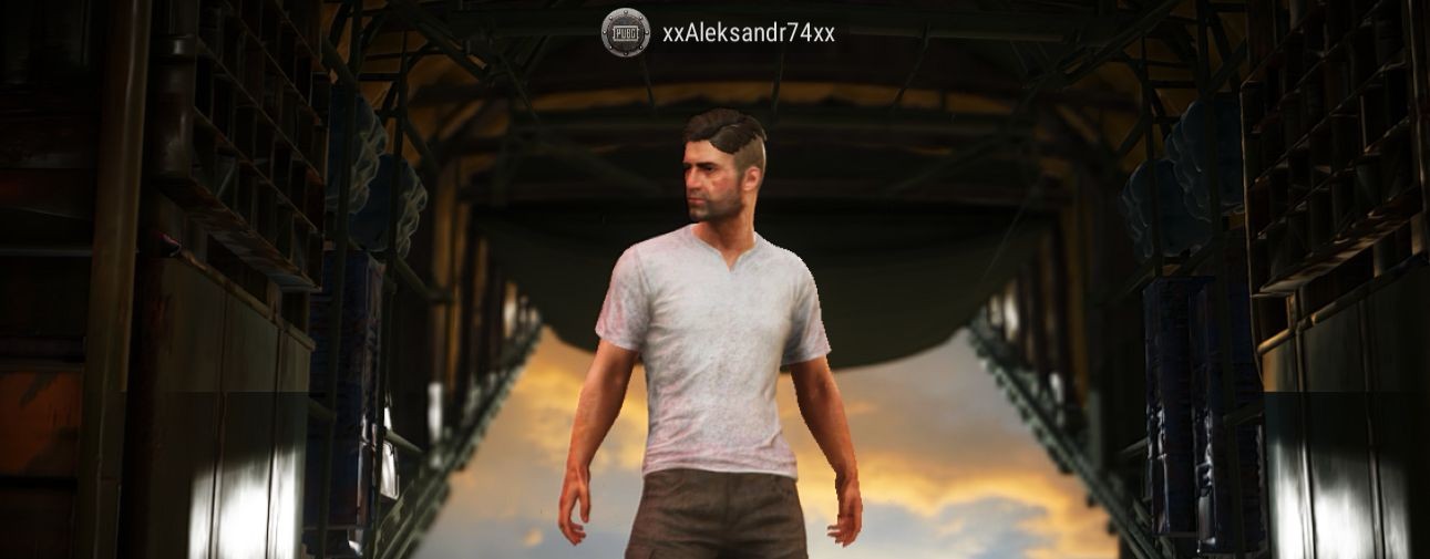 PUBG BATTLEGROUNDS (ПАБДЖИ) (ПАБГ)