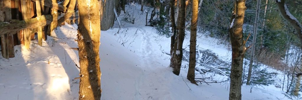 Сова Петровна