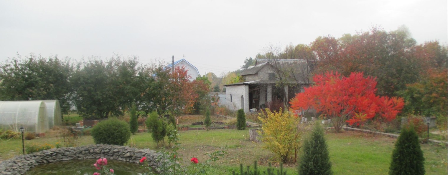 rutube_account_23460148