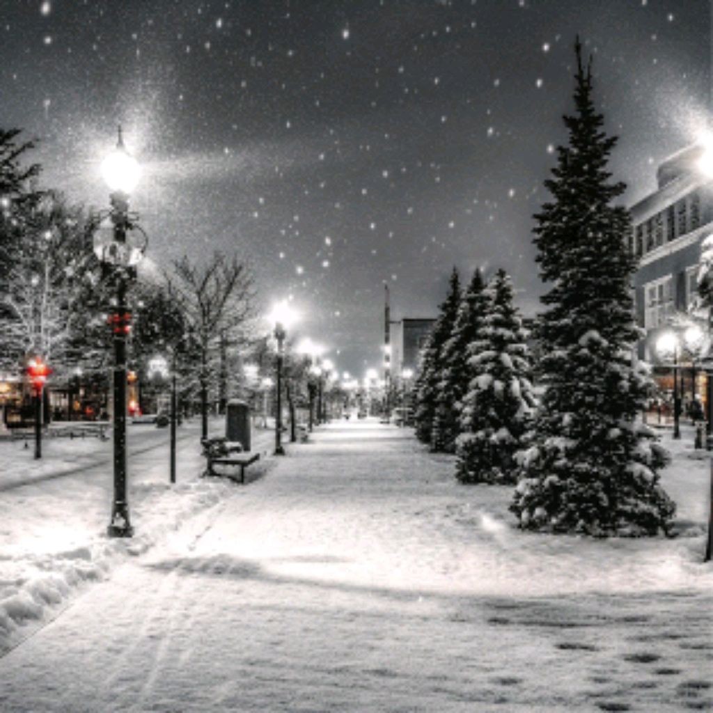 Новогодний Ильяс Азаматович _ 2026