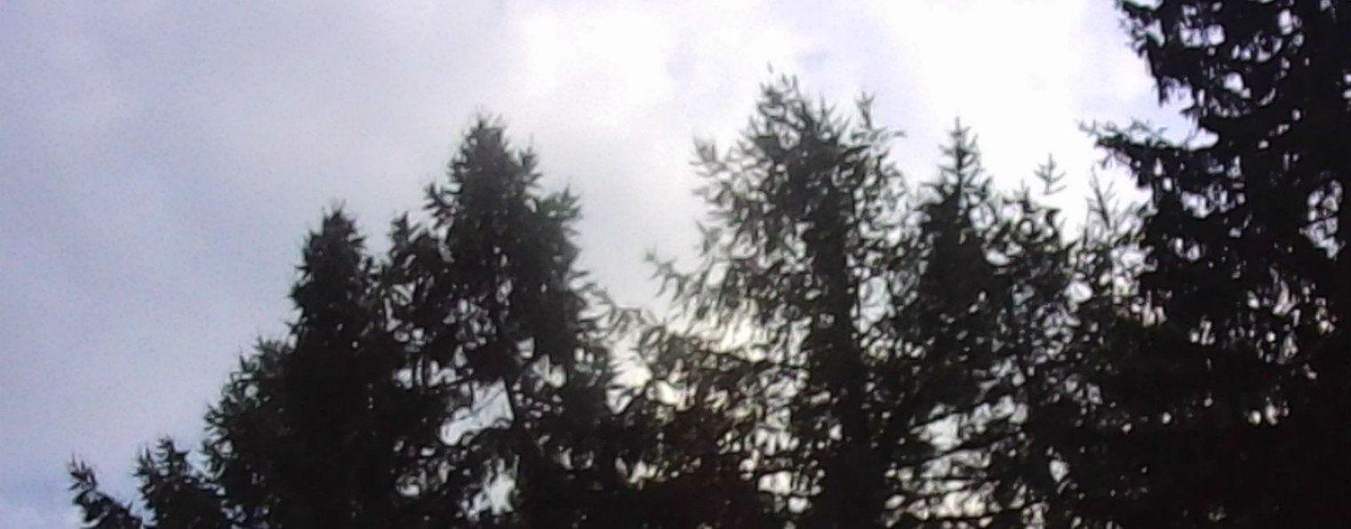 Ирина Флягина