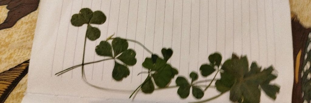 🎄The Red Doctor (2х2х2х2)/НГ/🎄