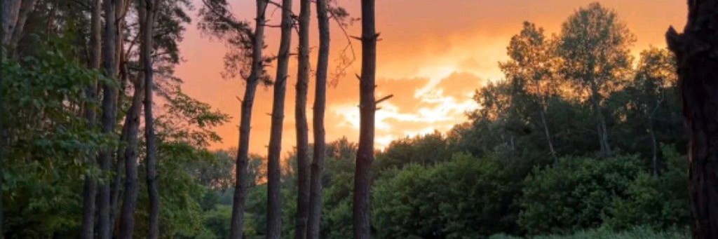 ۞=𝑇𝑖𝑚𝑜𝑝ℎ𝑒𝑦=۞