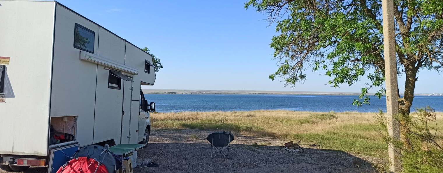 Дикие в Крыму