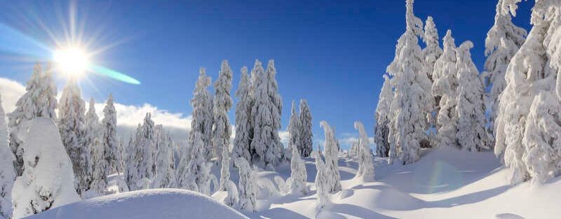 Галина Болгарских