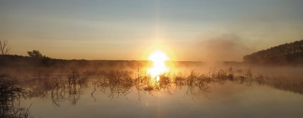 Александр Ты Сможешь Сам