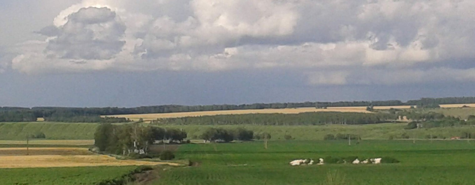 Народное Былое и нынешняя Навь