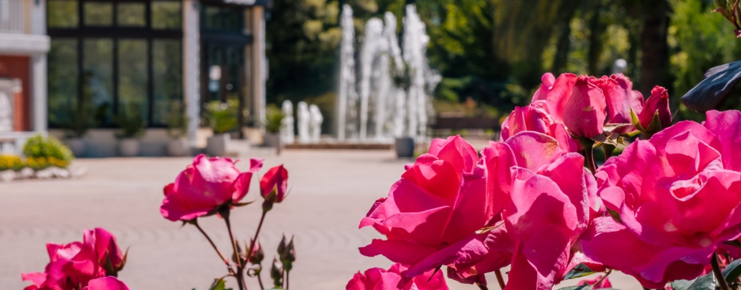 Санаторий "Зелёная роща"