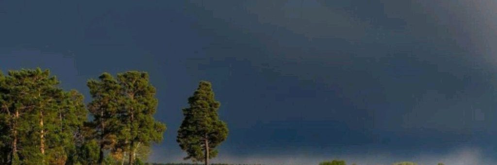 По степным просторам🎣