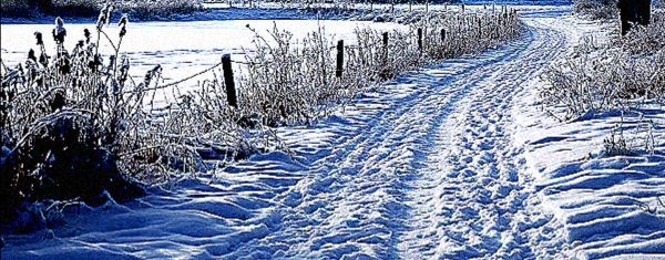 КИНОДЕКАБРЬ