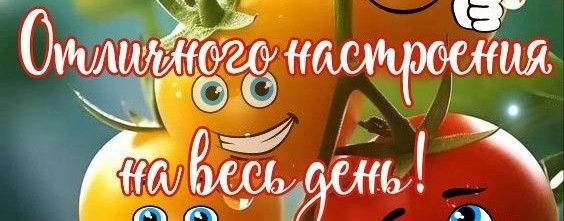 Безумный Ден и Восемь соток ярости