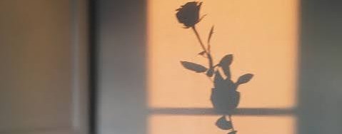 ♪🎧⭐🎀Ульяша Котяша🎀⭐🎧♪