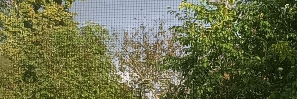 Всë Классное На Свете