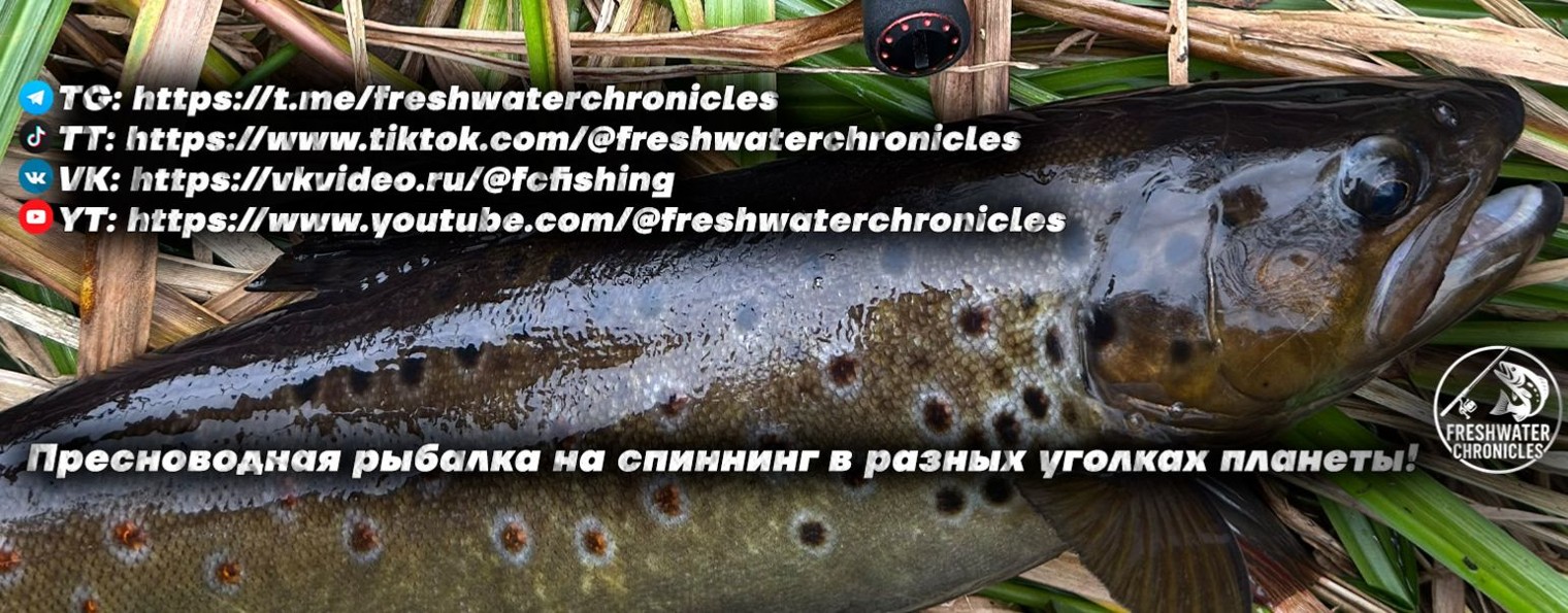 Freshwater Chronicles