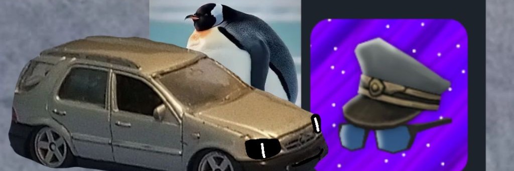 Пожилой Берет